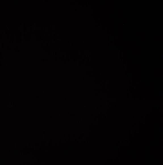 Meet your Posher, Ducc - Picture 1 of 1